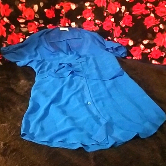 WAS $45 LUSH NORDSTROM Sheer BLUE Button Tunic/Shirtdress - Picture 10 of 13